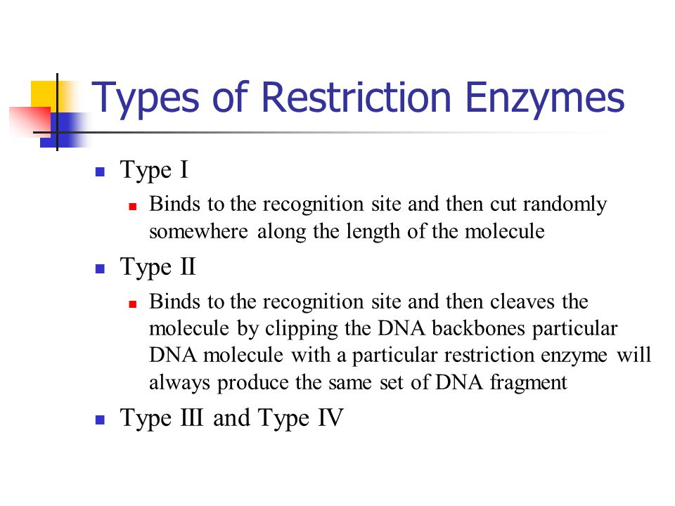 restriction enzymes and dna fingerprinting molecular scissors for