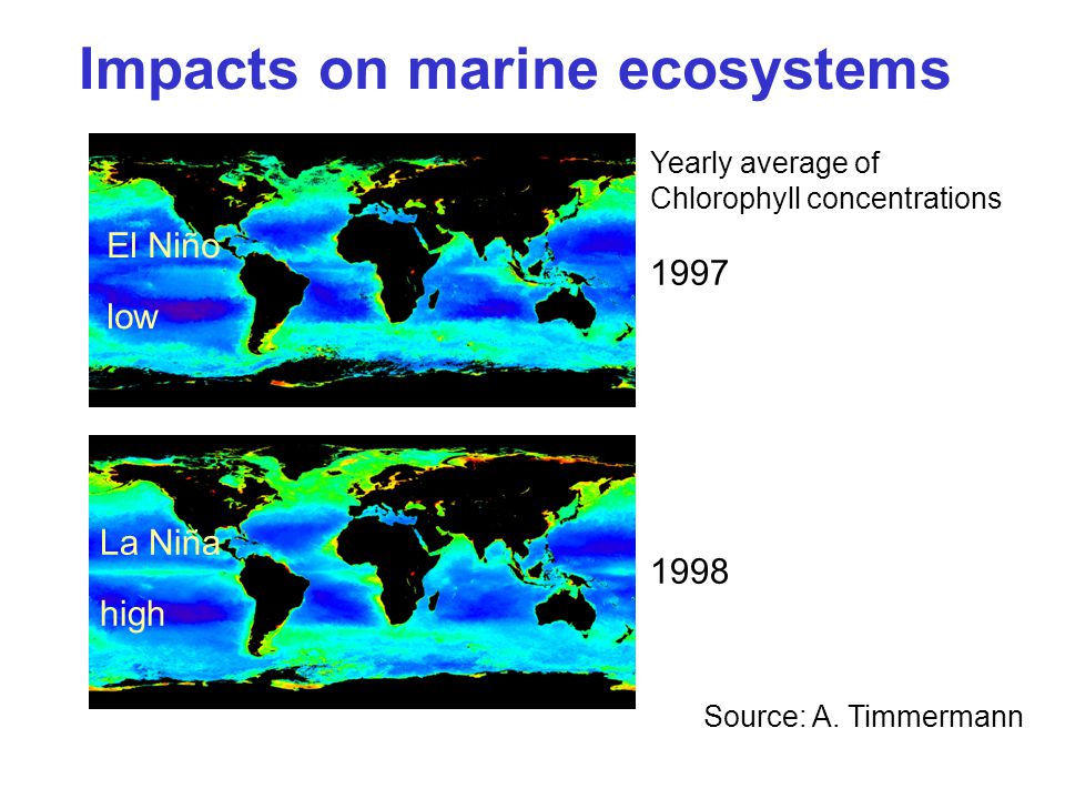 Yearly average of Chlorophyll concentrations El Niño low La Niña high Impacts on marine ecosystems Source: A.