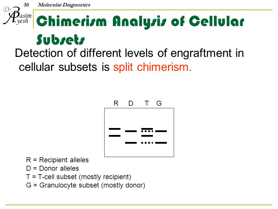 R D T G R = Recipient alleles D = Donor alleles T = T-cell subset (mostly recipient) G = Granulocyte subset (mostly donor) Chimerism Analysis of Cellular Subsets Detection of different levels of engraftment in cellular subsets is split chimerism.