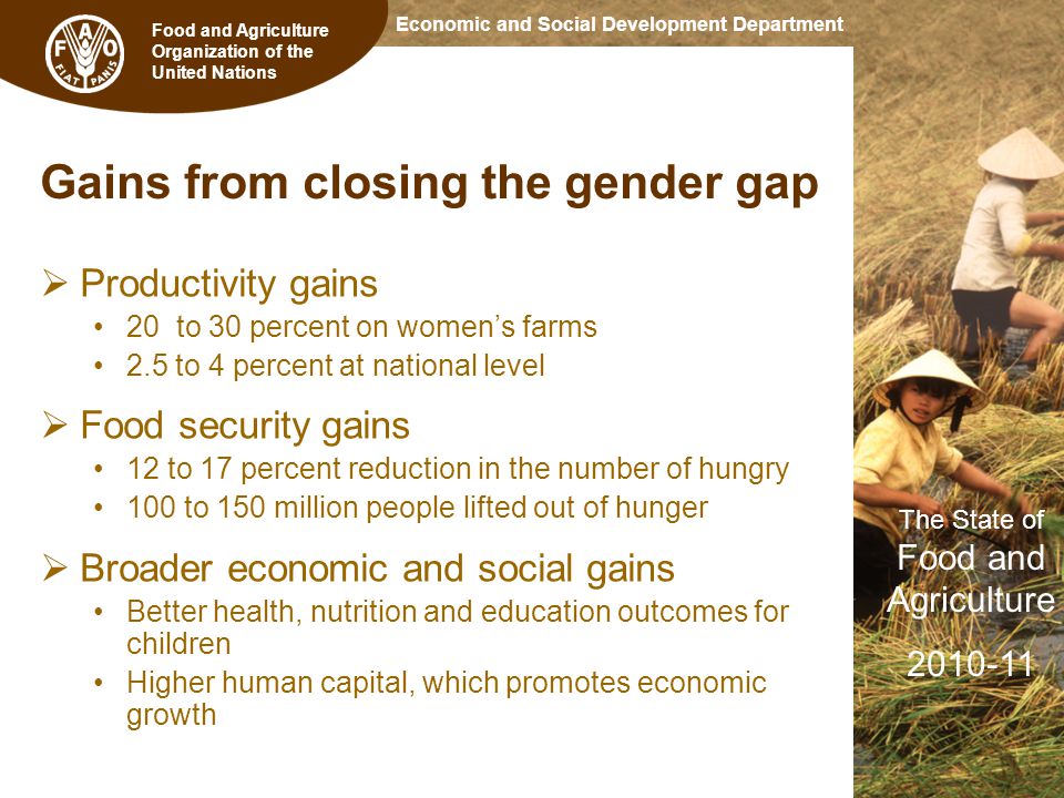 Food and Agriculture Organization of the United Nations The State of Food and Agriculture Economic and Social Development Department Gains from closing the gender gap  Productivity gains 20 to 30 percent on women’s farms 2.5 to 4 percent at national level  Food security gains 12 to 17 percent reduction in the number of hungry 100 to 150 million people lifted out of hunger  Broader economic and social gains Better health, nutrition and education outcomes for children Higher human capital, which promotes economic growth