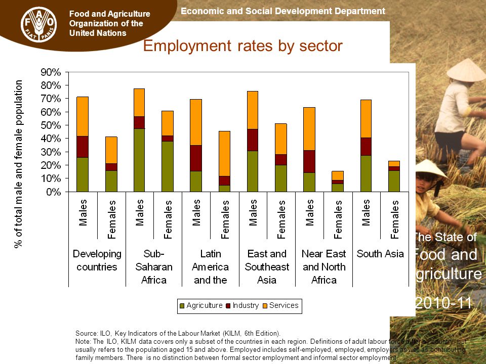 Food and Agriculture Organization of the United Nations The State of Food and Agriculture Economic and Social Development Department Source: ILO, Key Indicators of the Labour Market (KILM, 6th Edition).