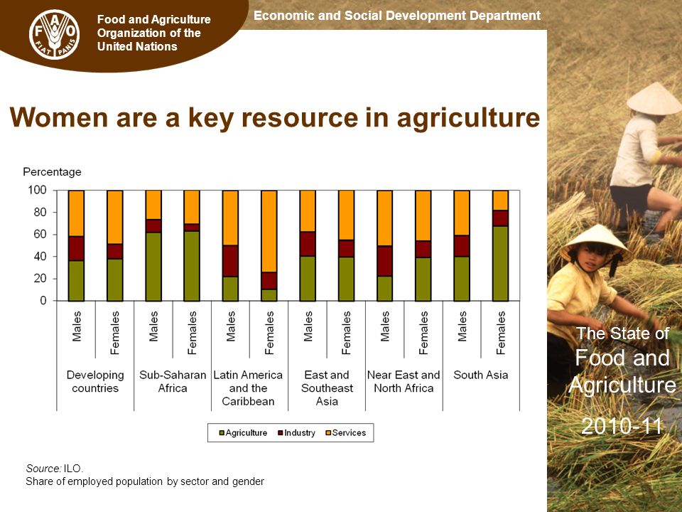 Food and Agriculture Organization of the United Nations The State of Food and Agriculture Economic and Social Development Department Women are a key resource in agriculture Source: ILO.