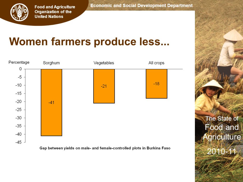 Food and Agriculture Organization of the United Nations The State of Food and Agriculture Economic and Social Development Department Women farmers produce less...