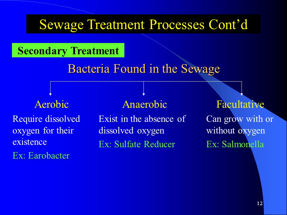 11 Sewage Treatment Processes Cont’d Aeration Tank