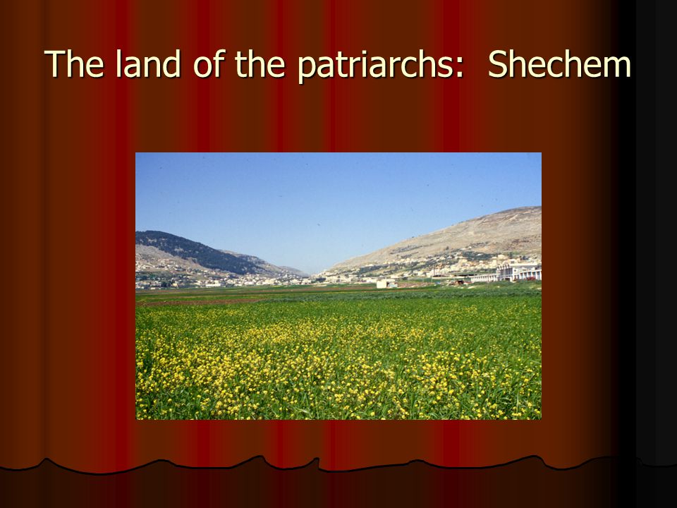 The land of the patriarchs: Shechem