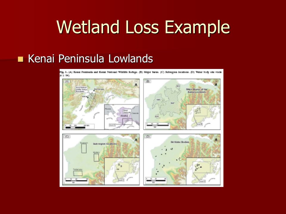 Wetland Loss Example Kenai Peninsula Lowlands Kenai Peninsula Lowlands