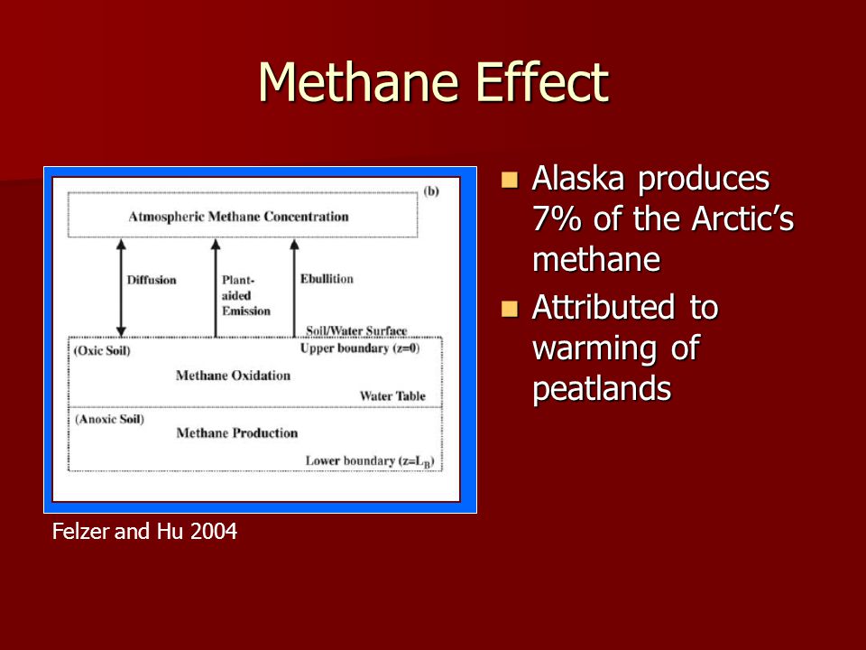 Methane Effect Alaska produces 7% of the Arctic’s methane Alaska produces 7% of the Arctic’s methane Attributed to warming of peatlands Attributed to warming of peatlands Felzer and Hu 2004