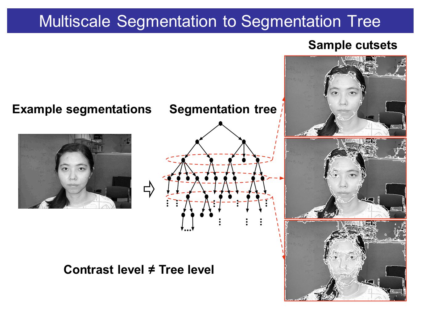 Multiscale Segmentation to Segmentation Tree Sample cutsets Segmentation tree Contrast level ≠ Tree level Example segmentations