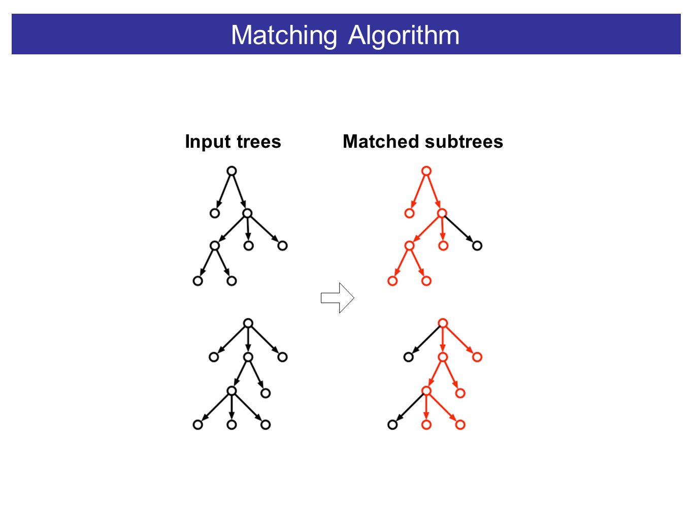 Matching Algorithm Input treesMatched subtrees