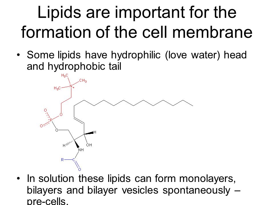 Some lipids have hydrophilic (love water) head and hydrophobic tail In solution these lipids can form monolayers, bilayers and bilayer vesicles spontaneously – pre-cells.
