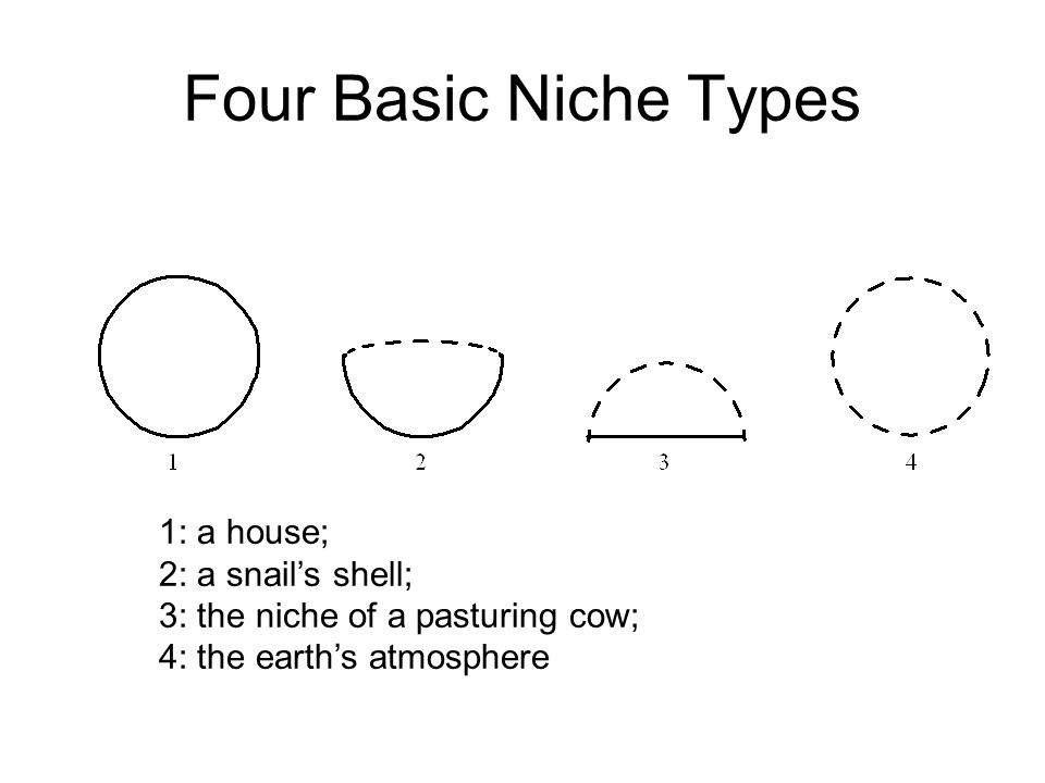 Four Basic Niche Types 1: a house; 2: a snail’s shell; 3: the niche of a pasturing cow; 4: the earth’s atmosphere
