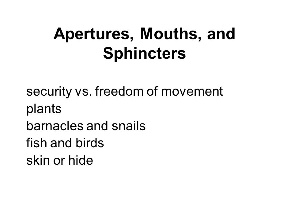 Apertures, Mouths, and Sphincters security vs.