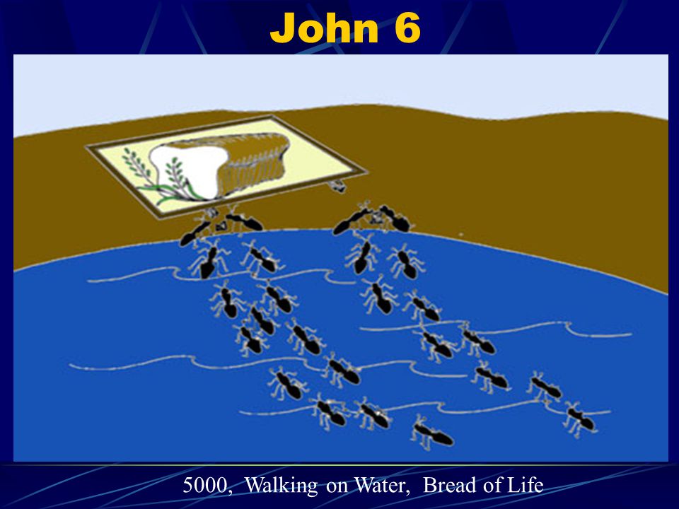 John , Walking on Water, Bread of Life