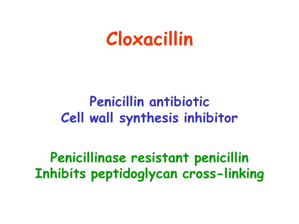 Cloxacillin Penicillin antibiotic Cell wall synthesis inhibitor Penicillinase resistant penicillin Inhibits peptidoglycan cross-linking
