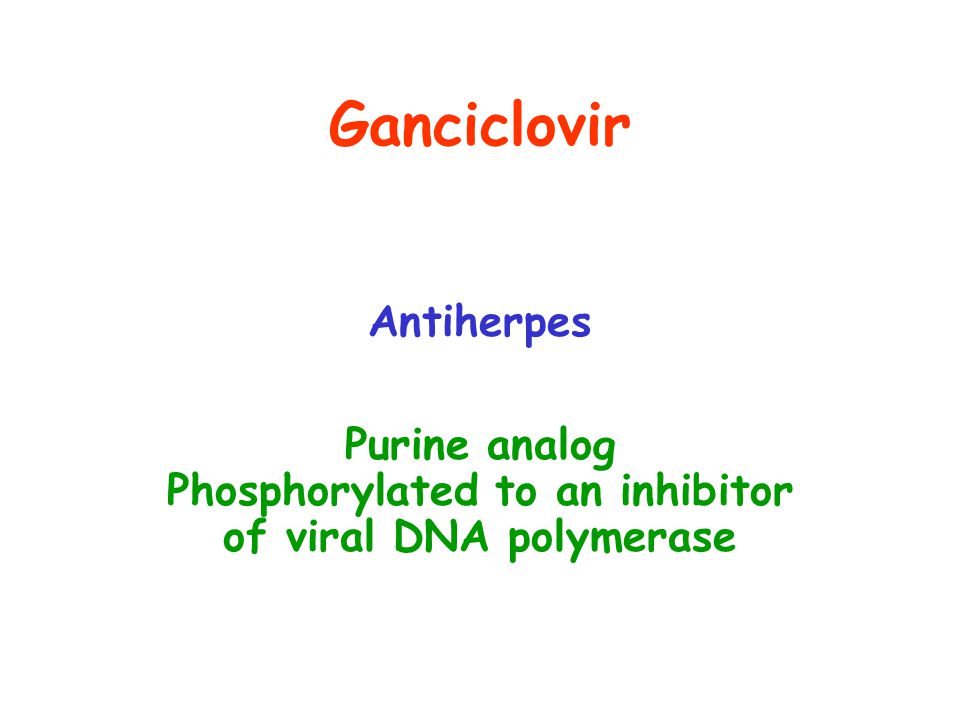 Ganciclovir Antiherpes Purine analog Phosphorylated to an inhibitor of viral DNA polymerase