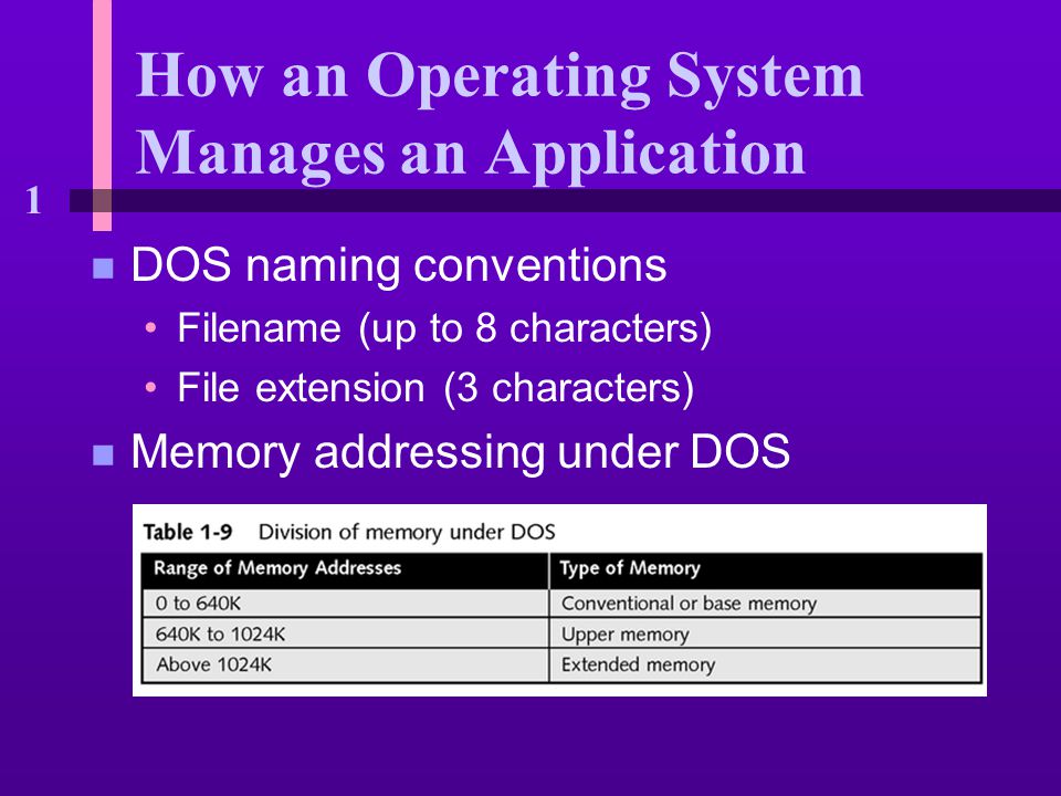 1 How an Operating System Manages an Application n DOS naming conventions Filename (up to 8 characters) File extension (3 characters) n Memory addressing under DOS