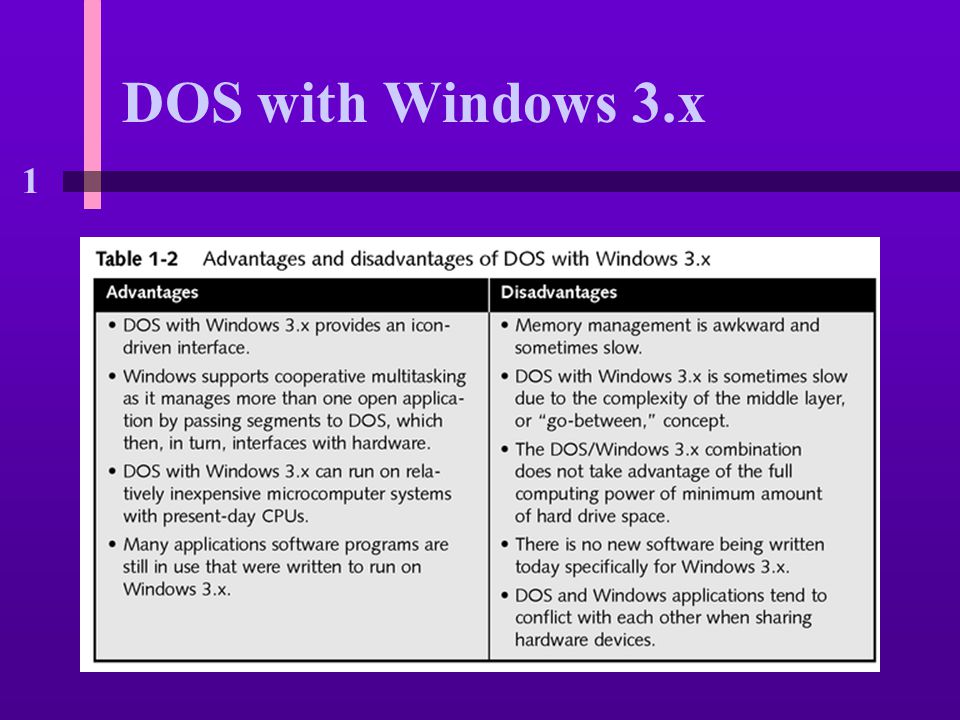 1 DOS with Windows 3.x