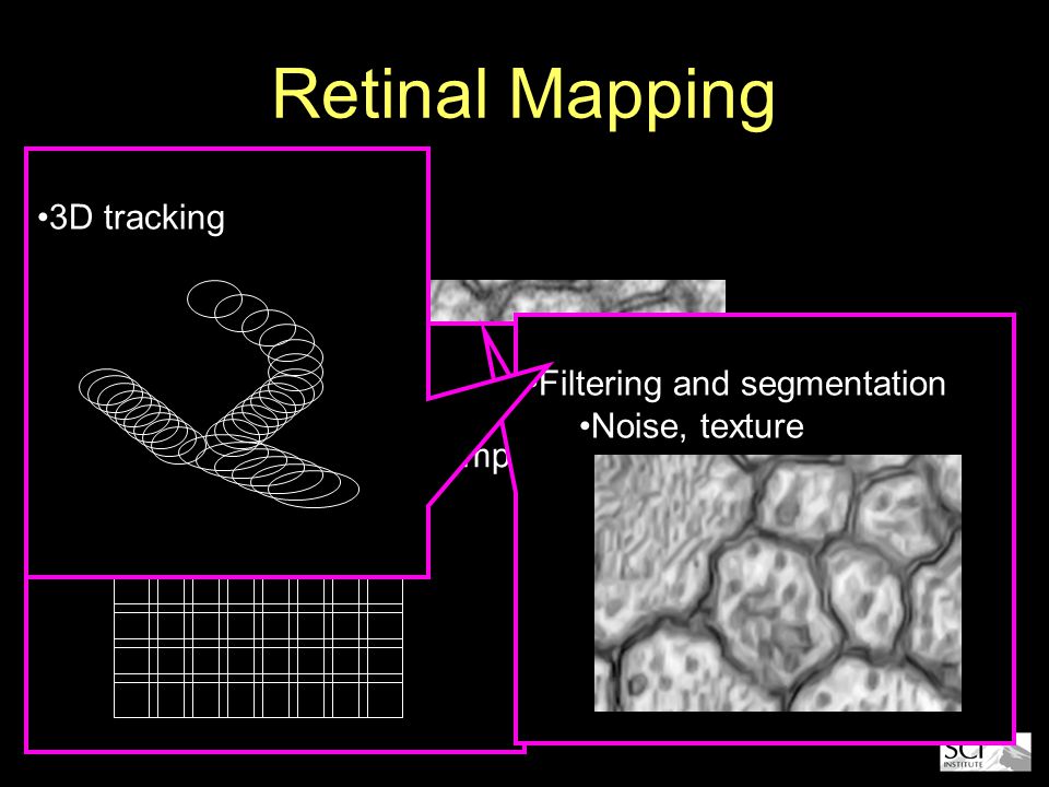 Retinal Mapping Mosaicing Distortion and position Very large images (100mps) Filtering and segmentation Noise, texture 3D tracking
