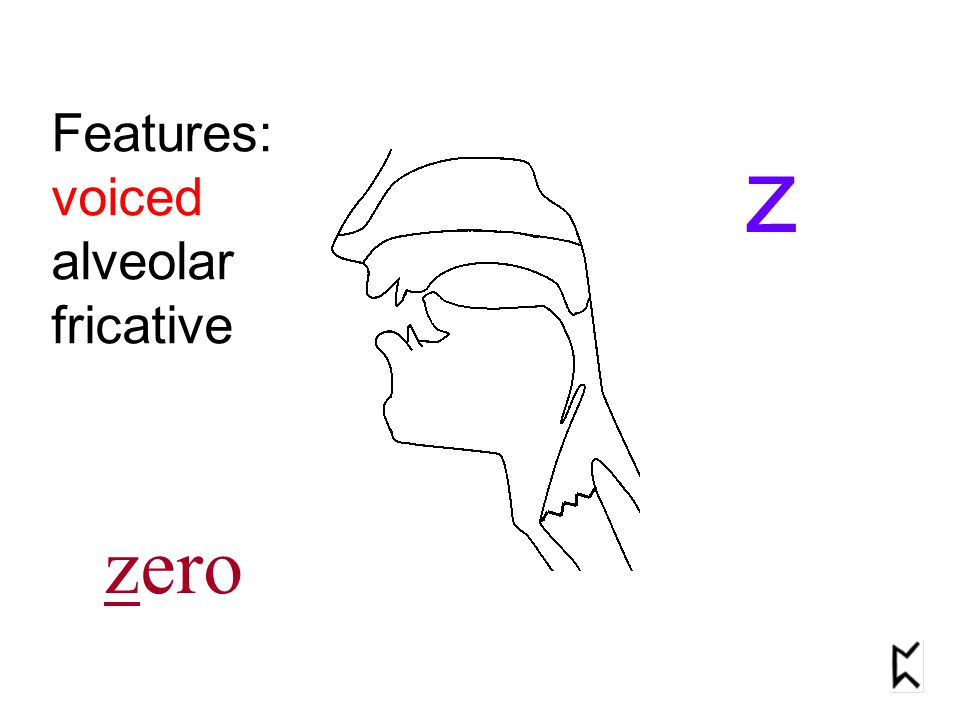 Features: voiced alveolar fricative z zero