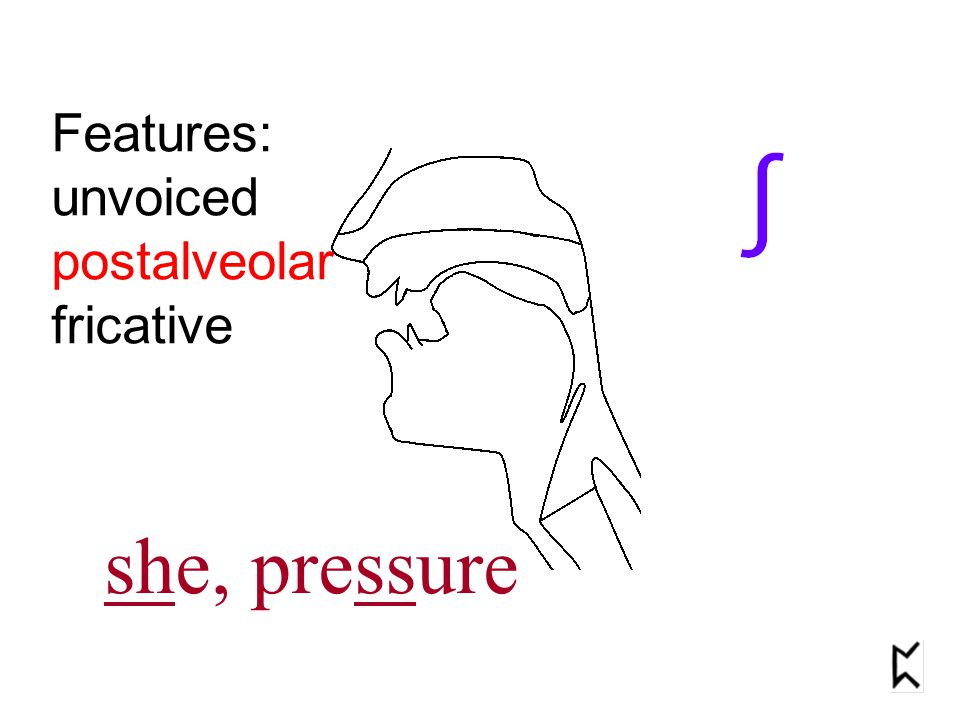 Features: unvoiced postalveolar fricative she, pressure