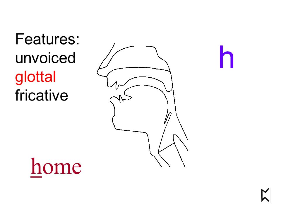Features: unvoiced glottal fricative h home