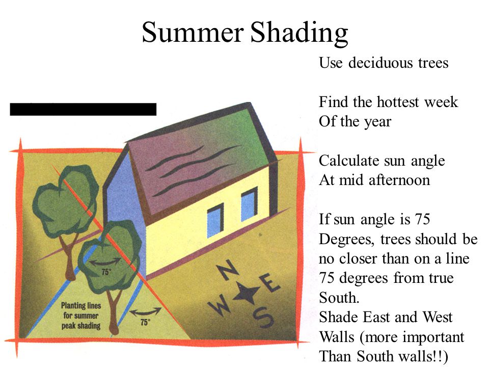 Summer Shading Use deciduous trees Find the hottest week Of the year Calculate sun angle At mid afternoon If sun angle is 75 Degrees, trees should be no closer than on a line 75 degrees from true South.