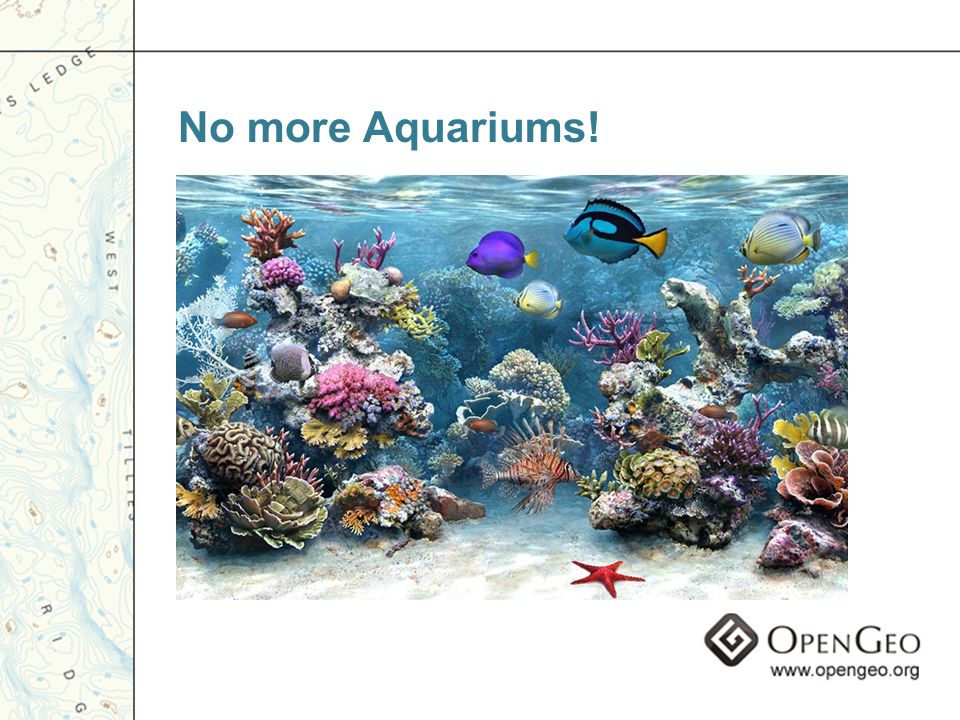 No more Aquariums!
