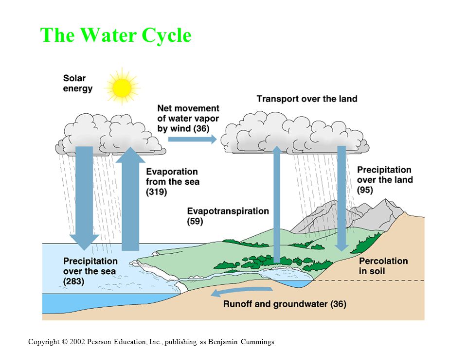 The Water Cycle Copyright © 2002 Pearson Education, Inc., publishing as Benjamin Cummings