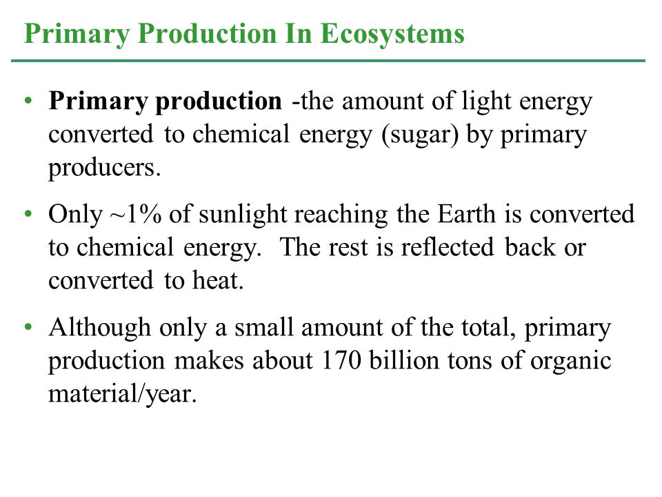 Primary production -the amount of light energy converted to chemical energy (sugar) by primary producers.