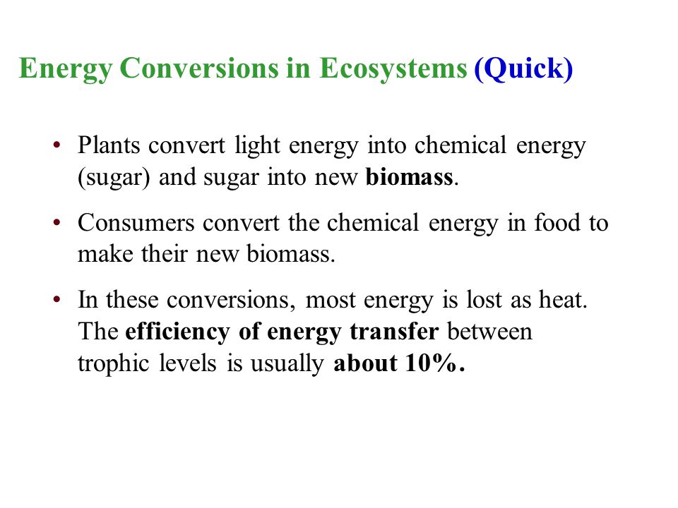Energy Conversions in Ecosystems (Quick) Plants convert light energy into chemical energy (sugar) and sugar into new biomass.