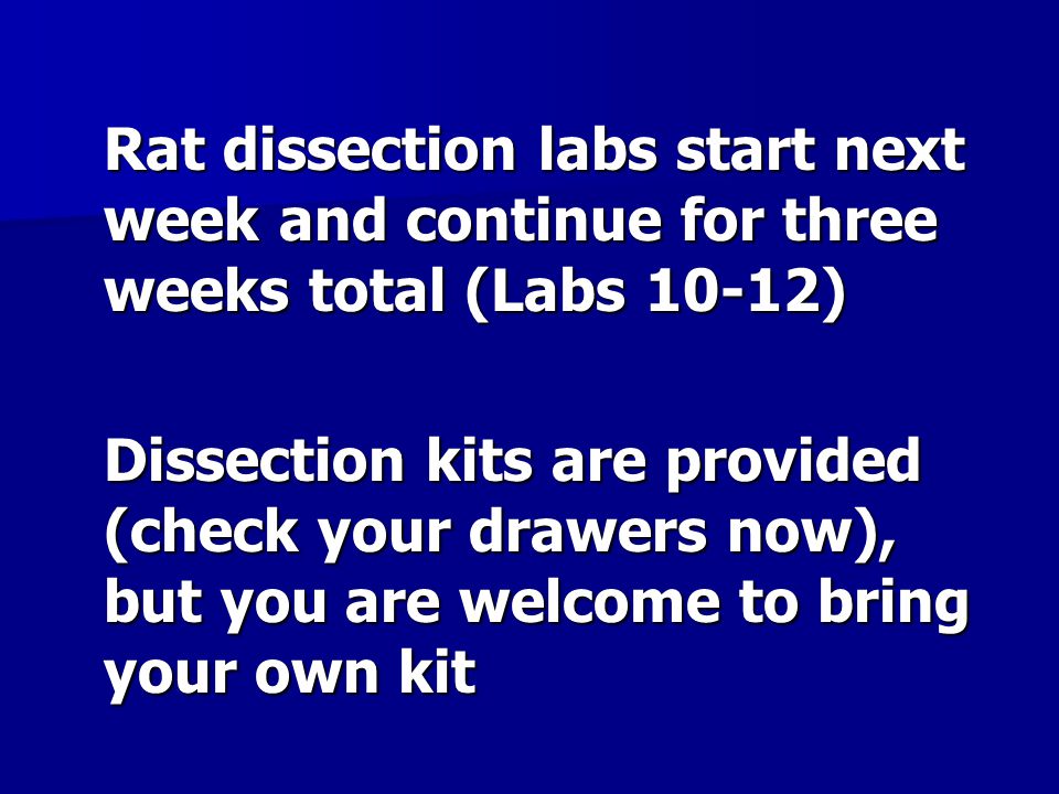 Rat Dissection Labs Start Next Week And Continue For Three Weeks