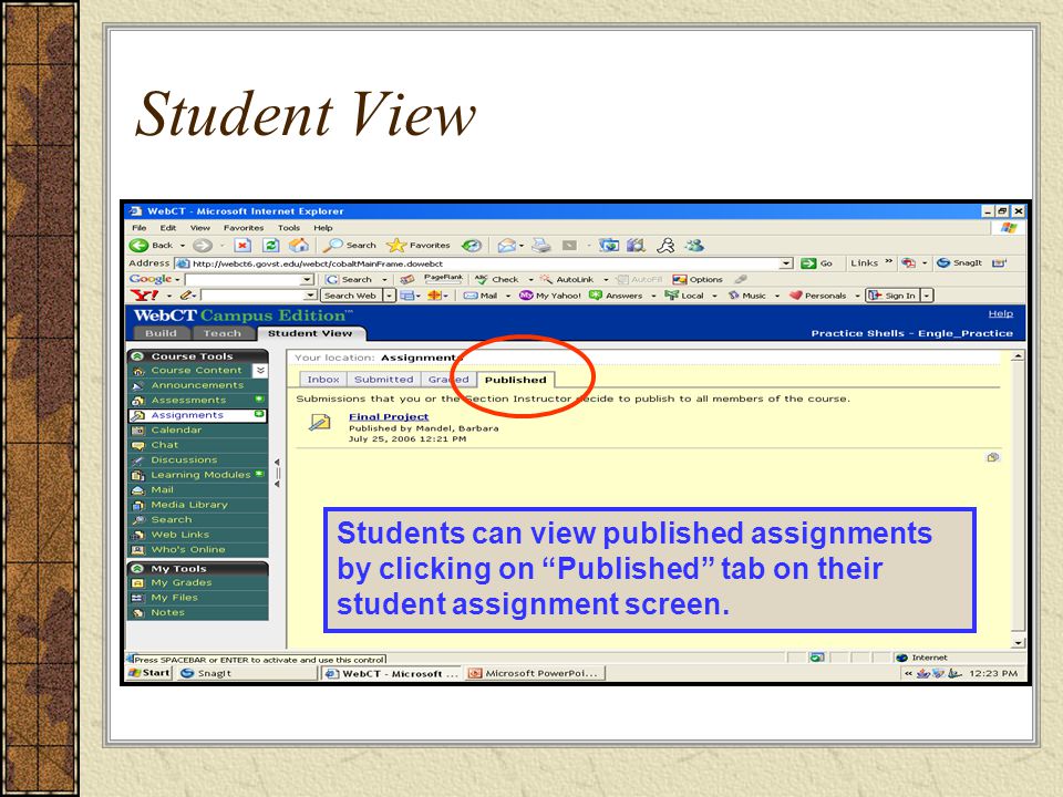 Student View Students can view published assignments by clicking on Published tab on their student assignment screen.