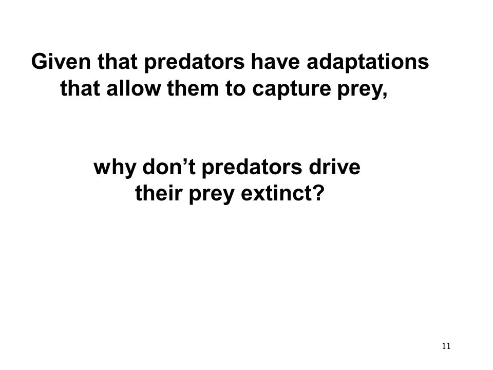 11 Given that predators have adaptations that allow them to capture prey, why don’t predators drive their prey extinct