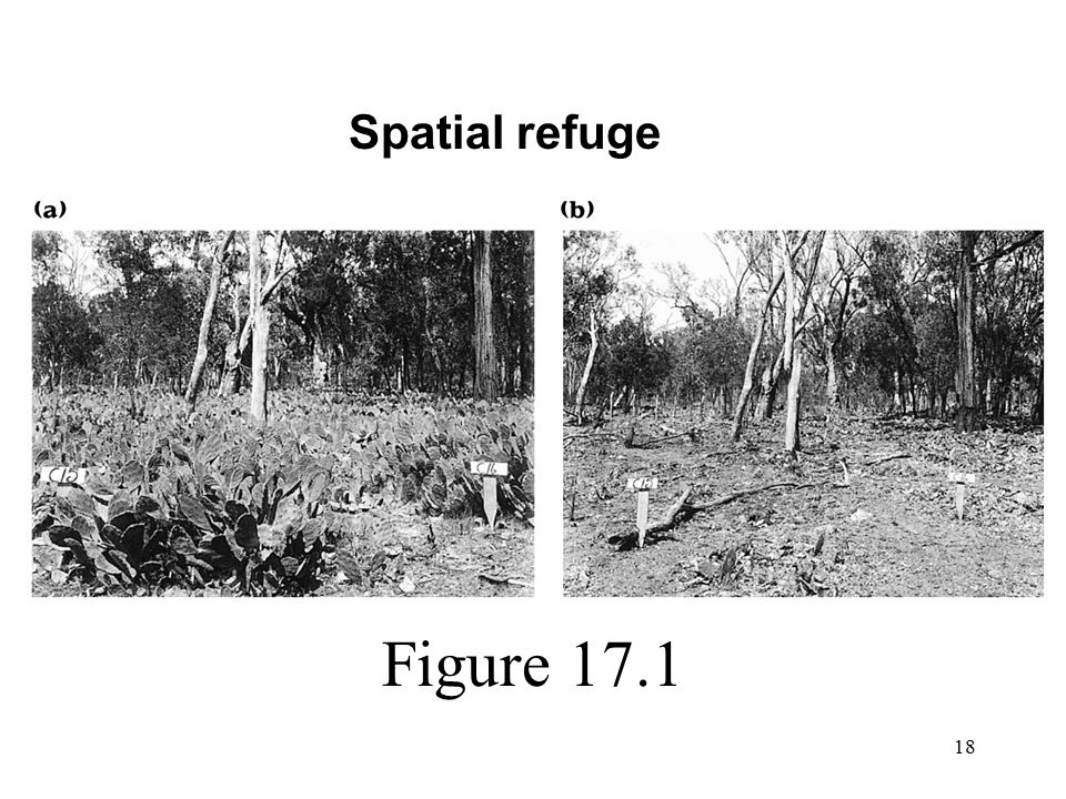 18 Figure 17.1 Spatial refuge