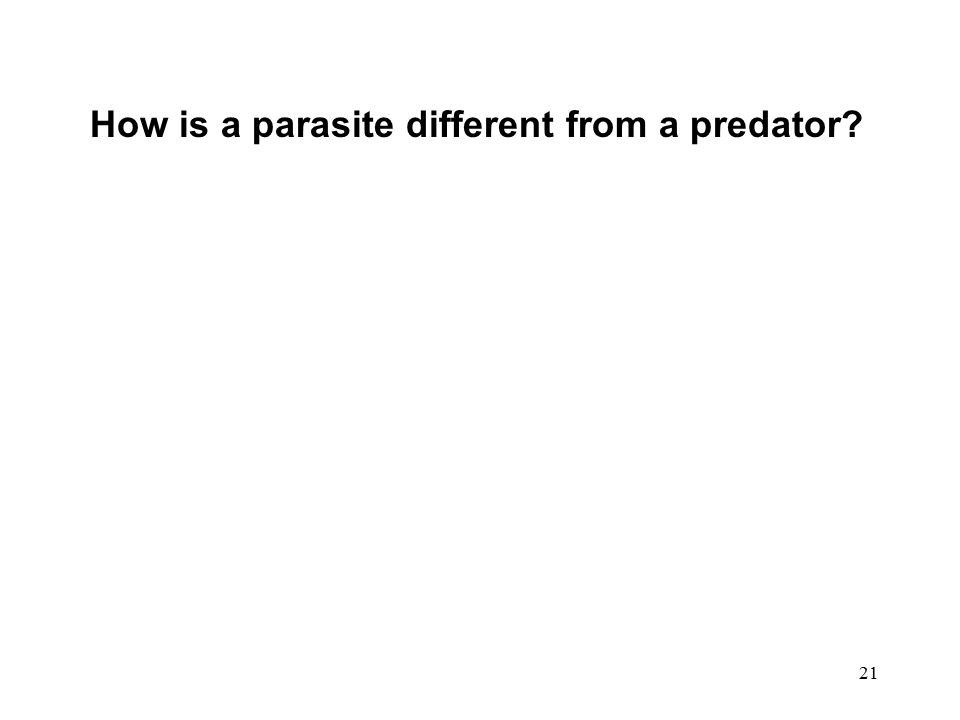 21 How is a parasite different from a predator