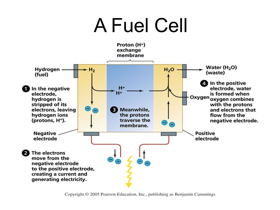 A Fuel Cell