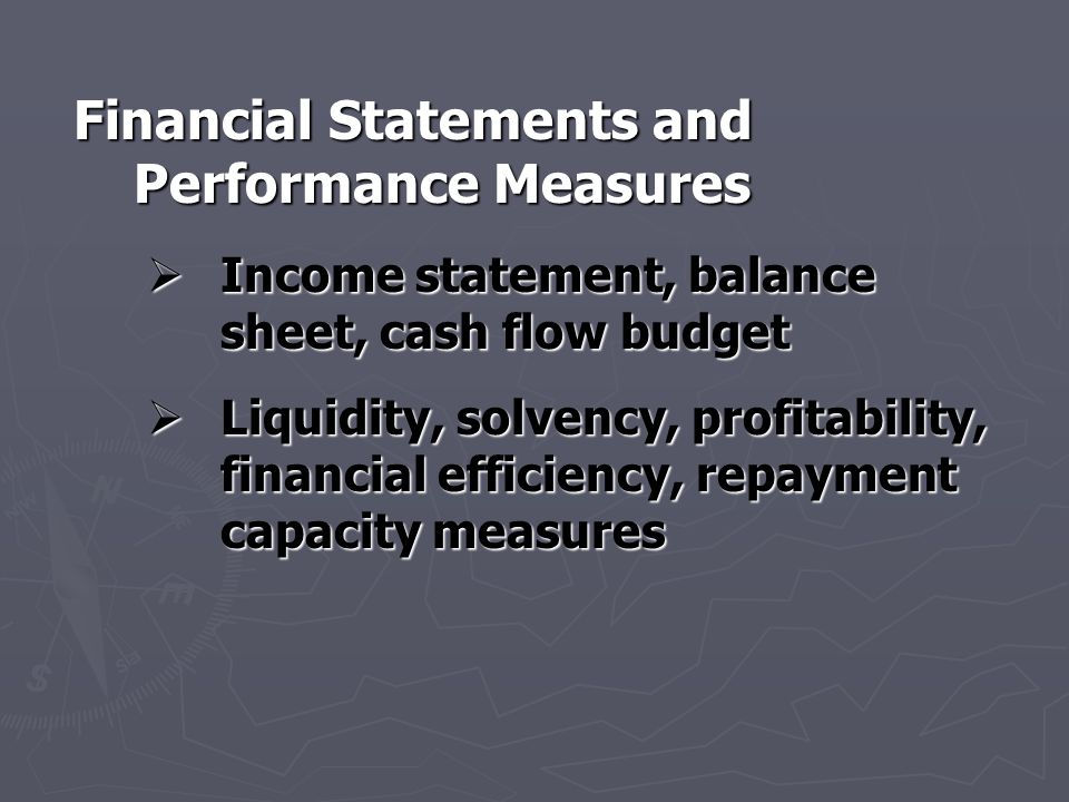Financial Statements and Performance Measures  Income statement, balance sheet, cash flow budget  Liquidity, solvency, profitability, financial efficiency, repayment capacity measures
