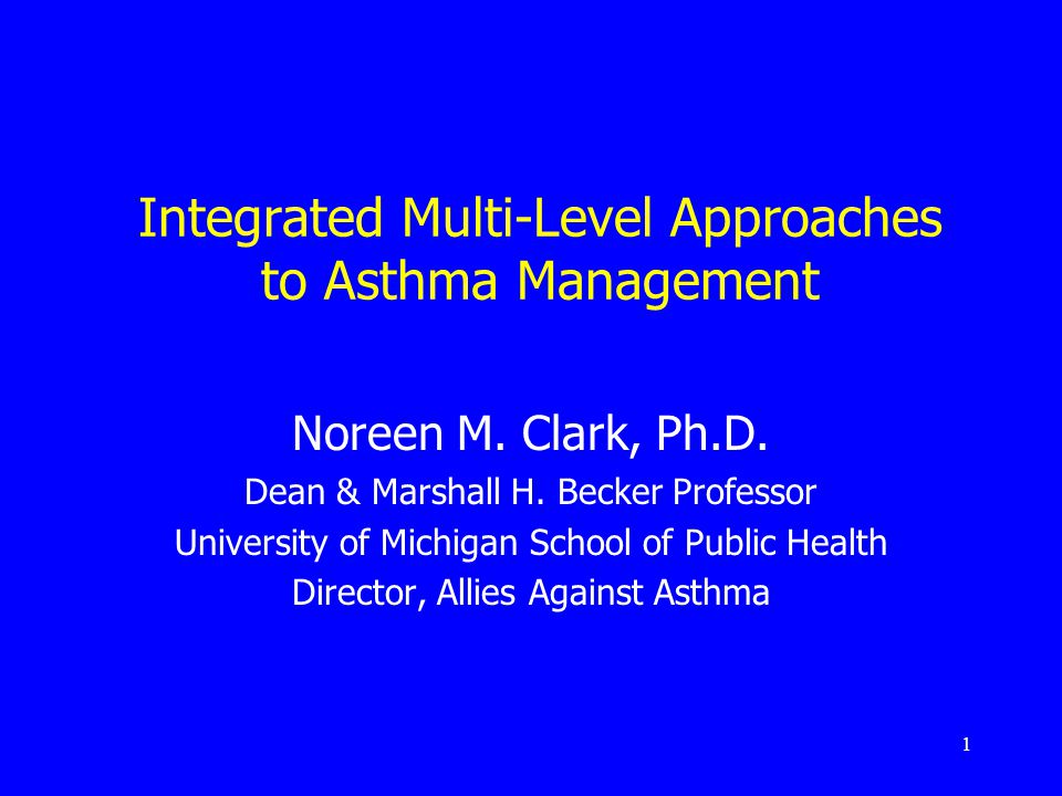 1 Integrated Multi-Level Approaches to Asthma Management Noreen M.