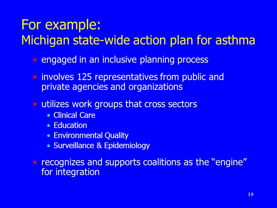 19 For example: Michigan state-wide action plan for asthma engaged in an inclusive planning process involves 125 representatives from public and private agencies and organizations utilizes work groups that cross sectors Clinical Care Education Environmental Quality Surveillance & Epidemiology recognizes and supports coalitions as the engine for integration
