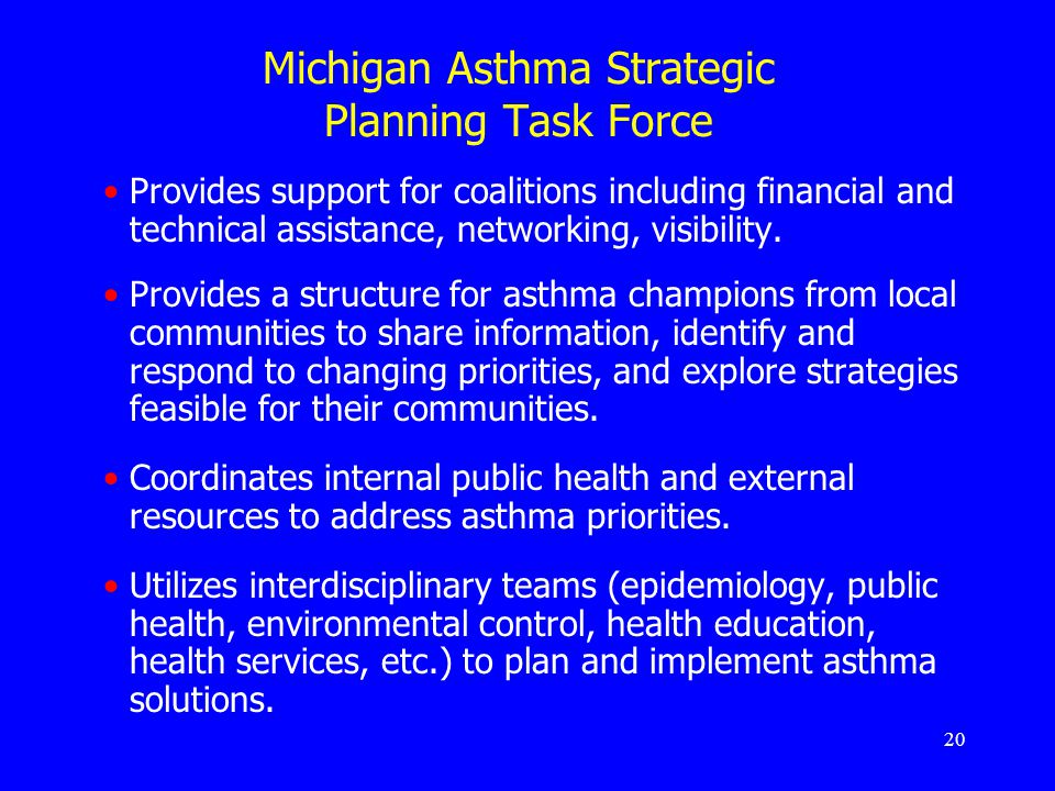 20 Michigan Asthma Strategic Planning Task Force Provides support for coalitions including financial and technical assistance, networking, visibility.