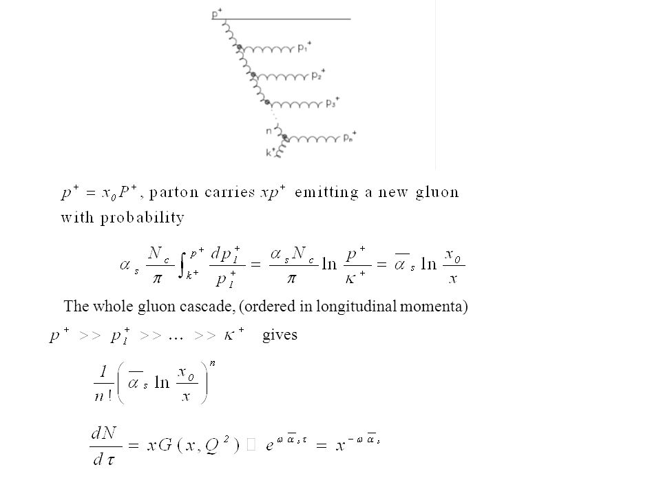 The whole gluon cascade, (ordered in longitudinal momenta) gives