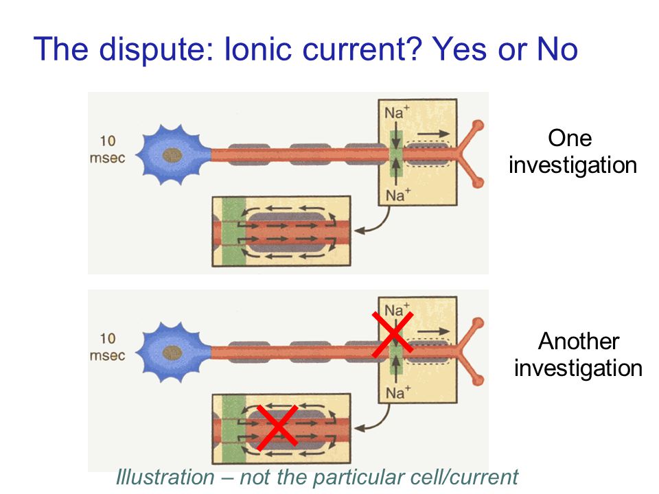 The dispute: Ionic current.