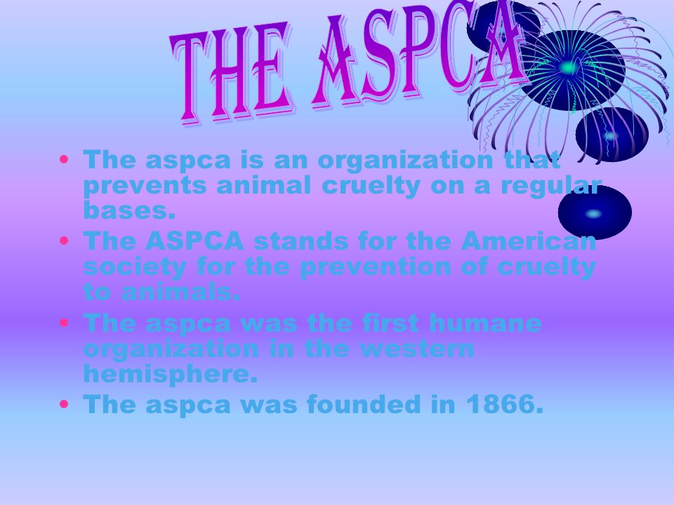 The aspca is an organization that prevents animal cruelty on a regular bases.