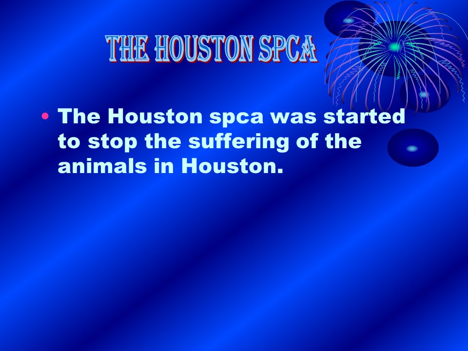 The Houston spca was started to stop the suffering of the animals in Houston.