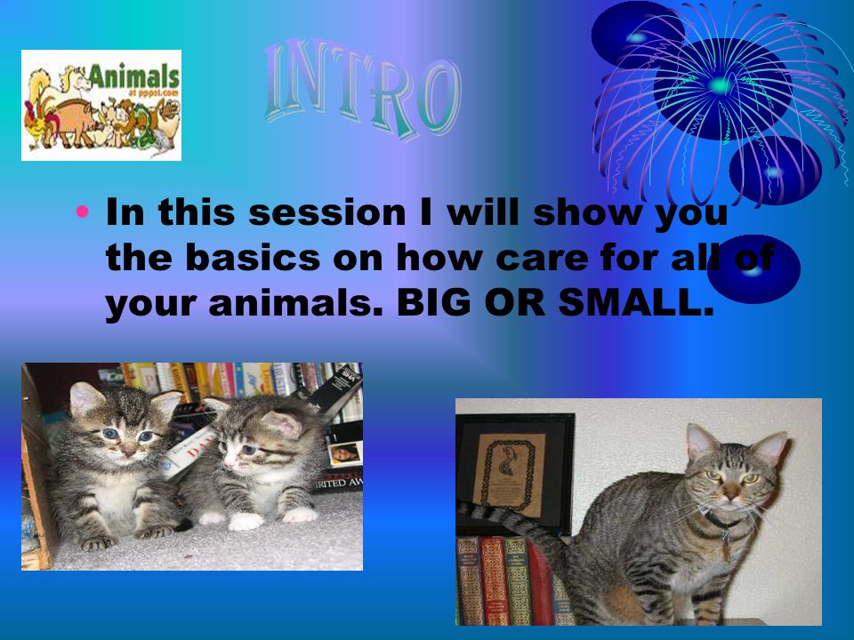 In this session I will show you the basics on how care for all of your animals. BIG OR SMALL.
