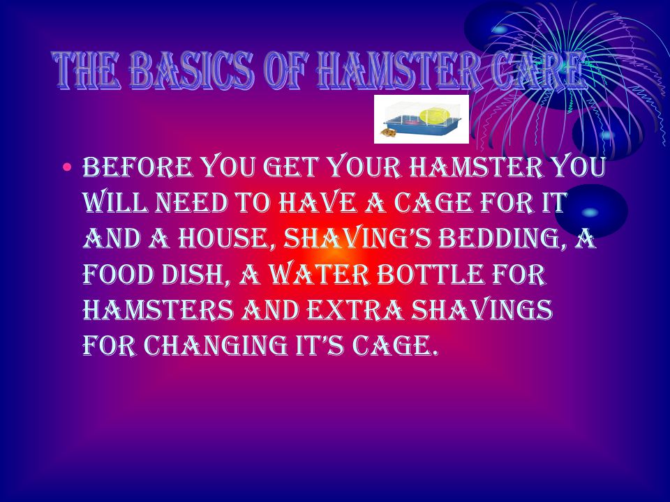 Before you get your hamster you will need to have a cage for it and a house, shaving’s bedding, a food dish, a water bottle for hamsters and extra shavings for changing it’s cage.