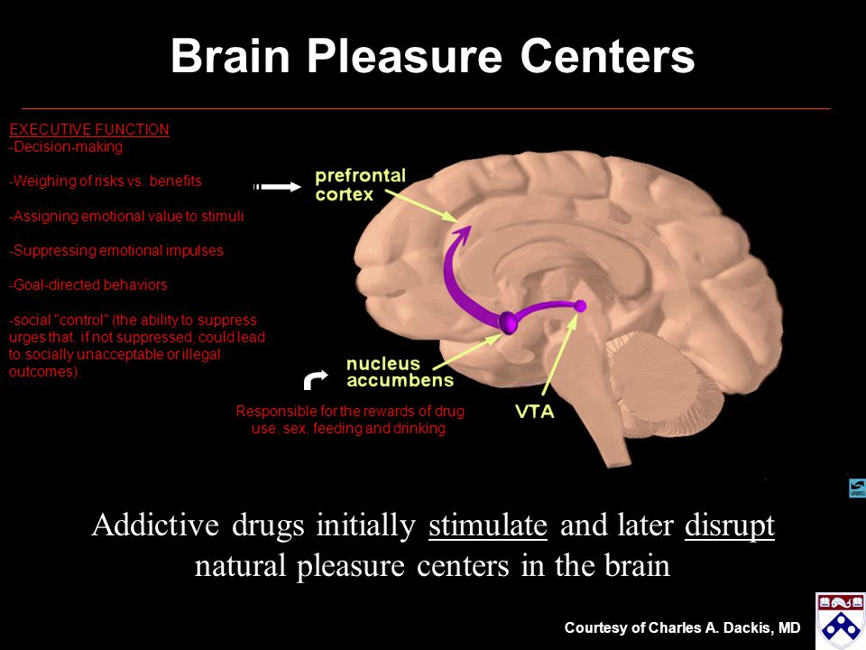 Brain volumetric analyses in arx patients and age