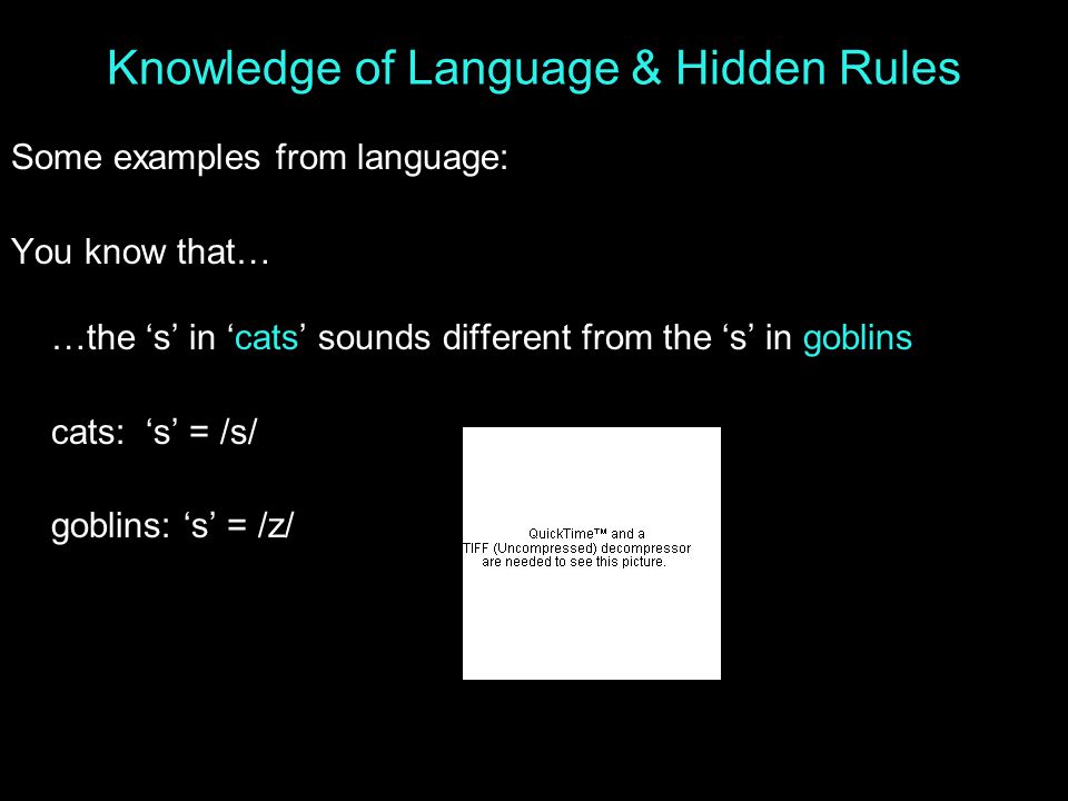 Knowledge of Language & Hidden Rules Some examples from language: You know that… …the ‘s’ in ‘cats’ sounds different from the ‘s’ in goblins cats: ‘s’ = /s/ goblins: ‘s’ = /z/