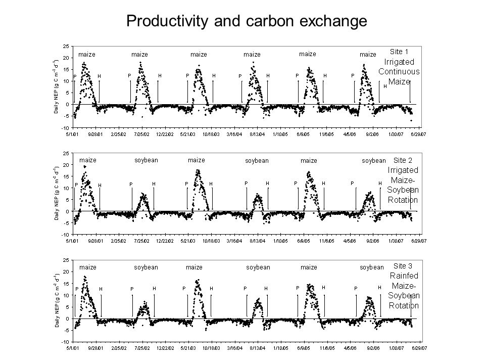 Productivity and carbon exchange