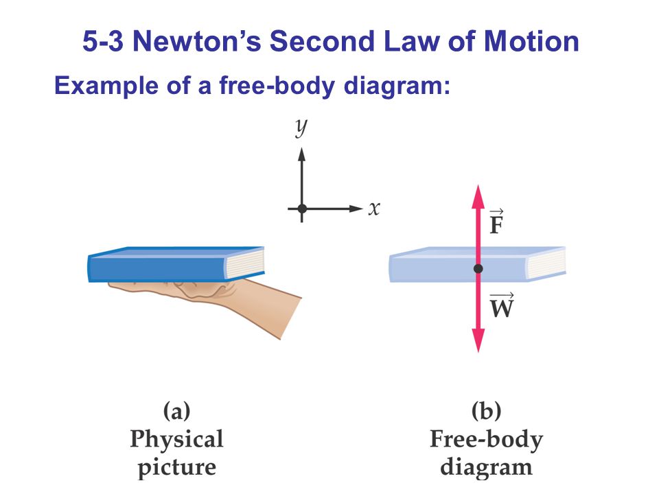 5-3 Newton’s Second Law of Motion Example of a free-body diagram: